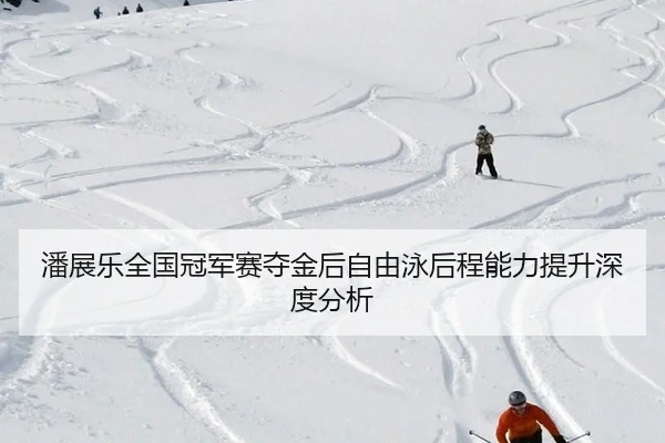 pan-zhan-le-quan-guo-guan-jun-sai-duo-jin-hou-zi-you-yong-hou-cheng-neng-li-ti-sheng-shen-du-fen-xi-2-243.jpg
