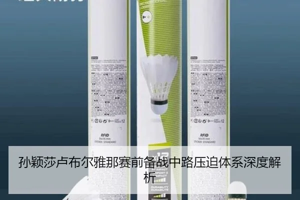 孙颖莎卢布尔雅那赛前备战中路压迫体系深度解析